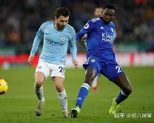 伯恩茅斯主场龙石建功，围双塔哈进球的简单介绍