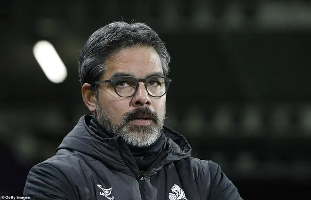 南安普顿陷入低迷，磨合困难重重