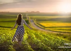 关于负离子换帅效应显著，马竞再现强势的信息