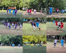 足球场上球员拼搏奋斗，现场观众热情高涨的简单介绍