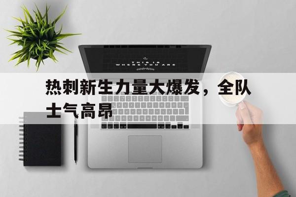 网页版入口-热刺新球场有多先进