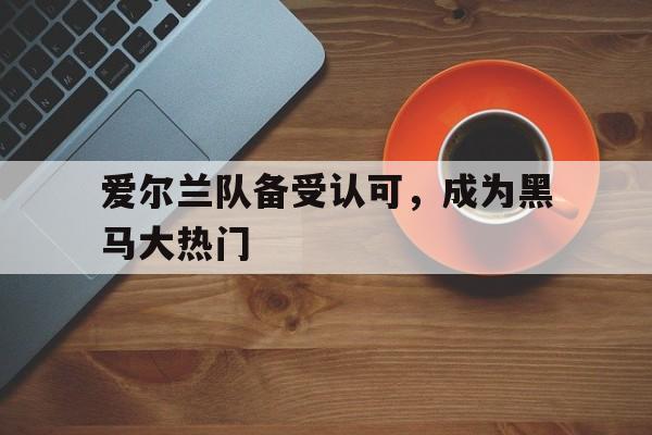 网页版入口-爱尔兰队备受认可,成为黑马大热门是哪一年